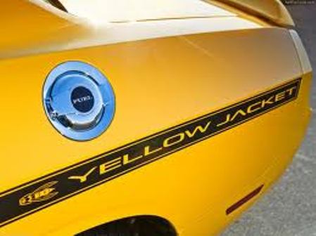 Slixx Decals Mopar V10 Drag Pak